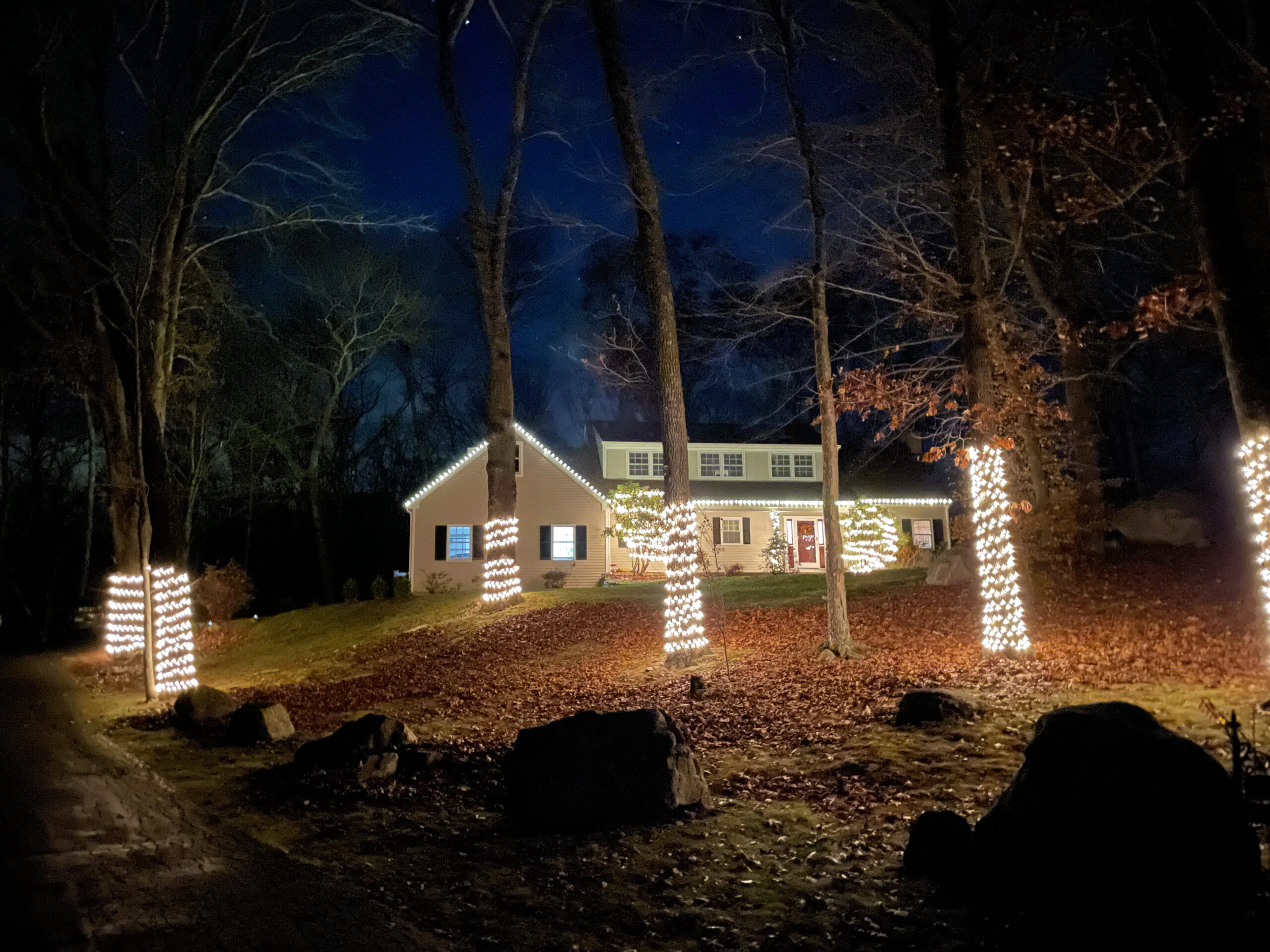 Tree Lights Installation