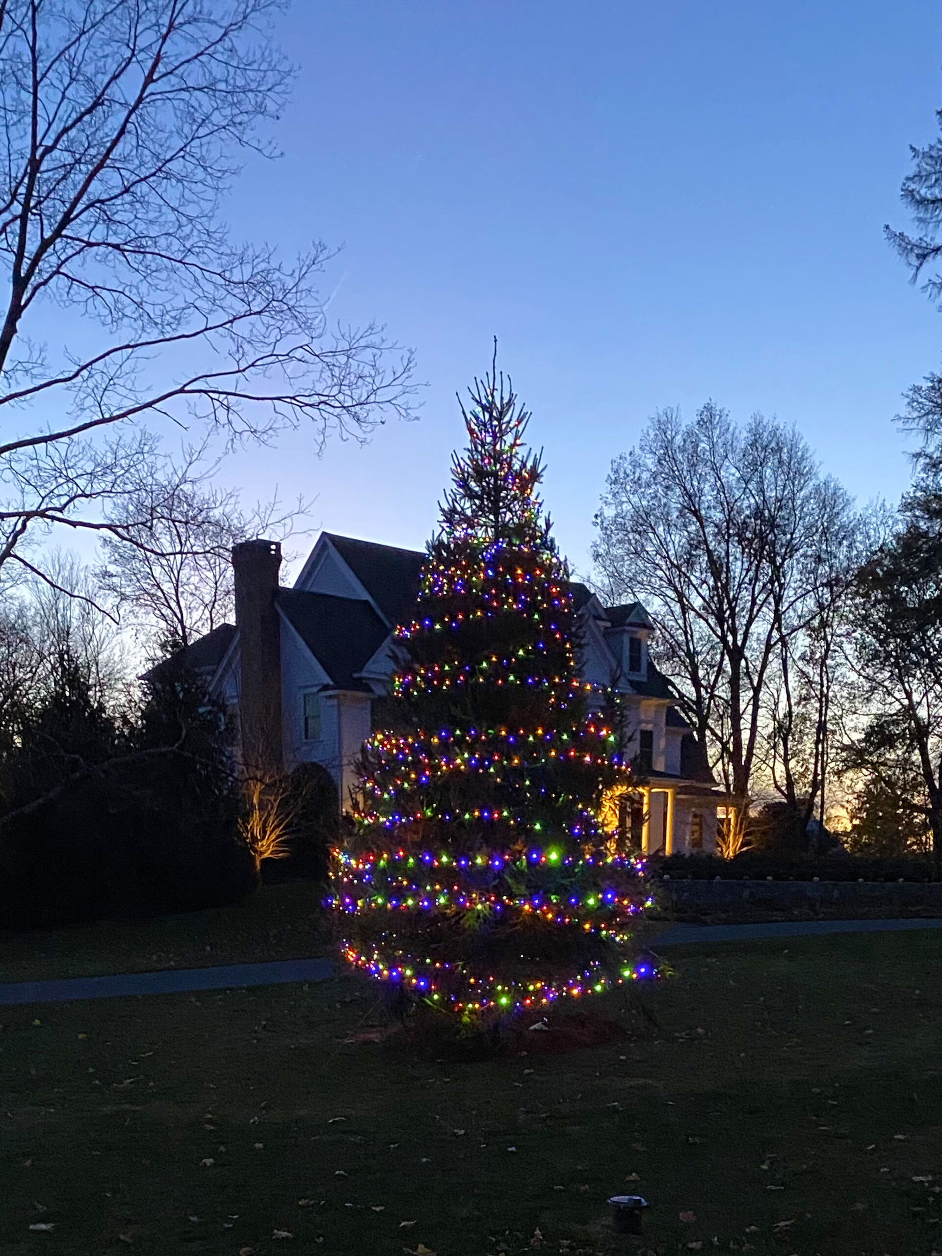 Christmas Tree Lights Installation