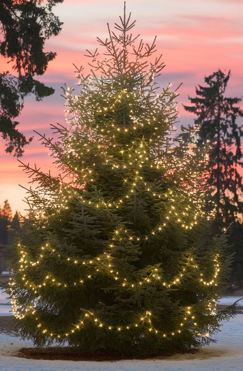 Christmas Lights Intallers