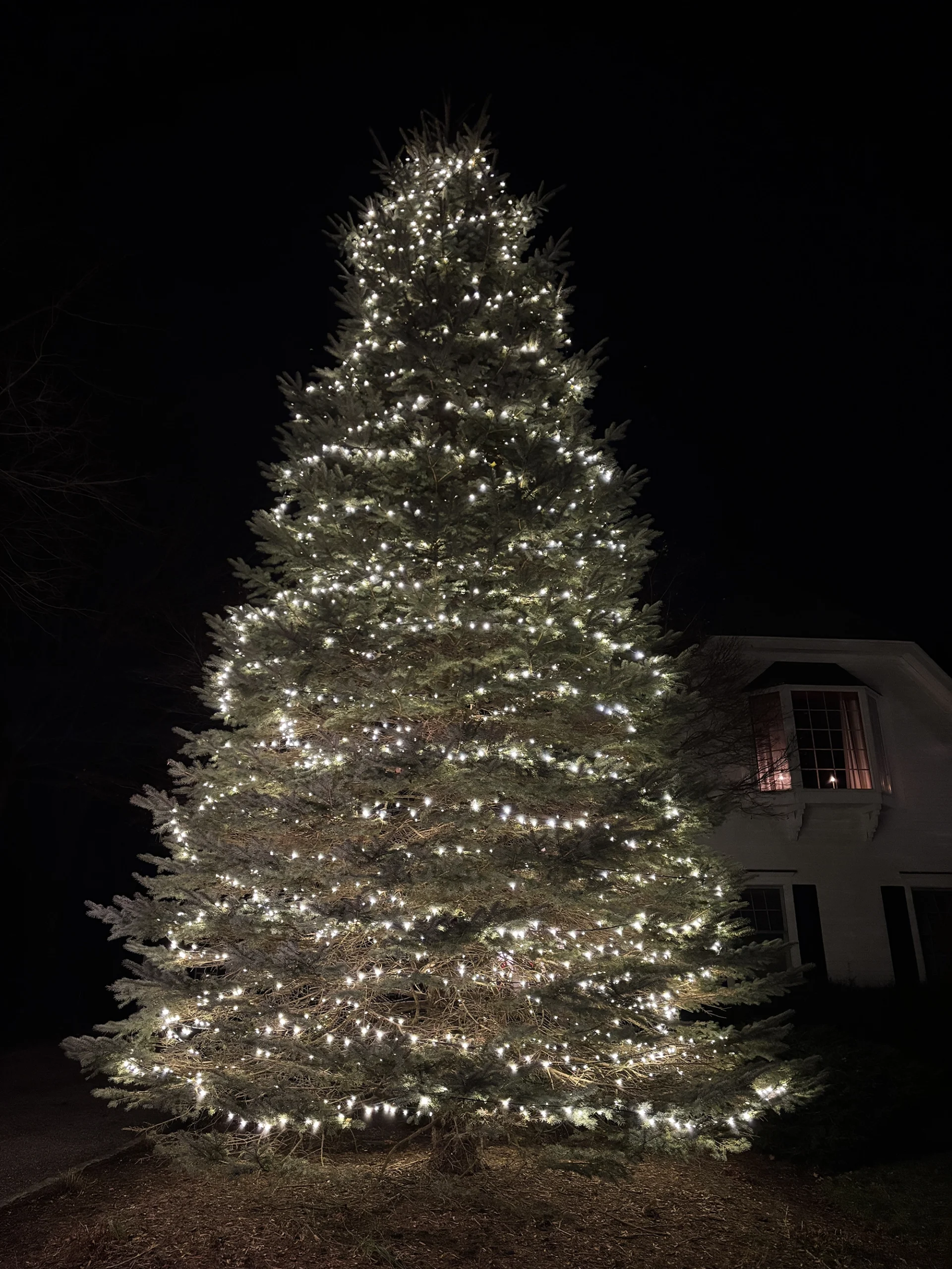 Greenwich Lights Installer